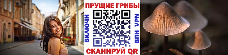 Галлюциногенные грибы прущие грибы Большой Камень